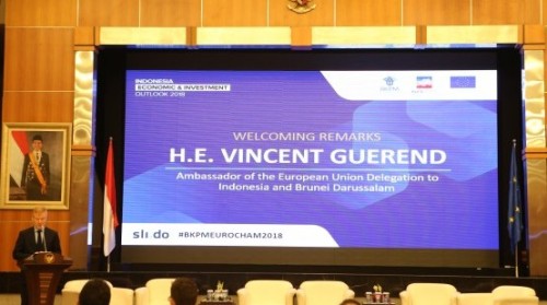 H.E. Vincent Guerend
